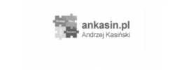 Usługi Audytorskie